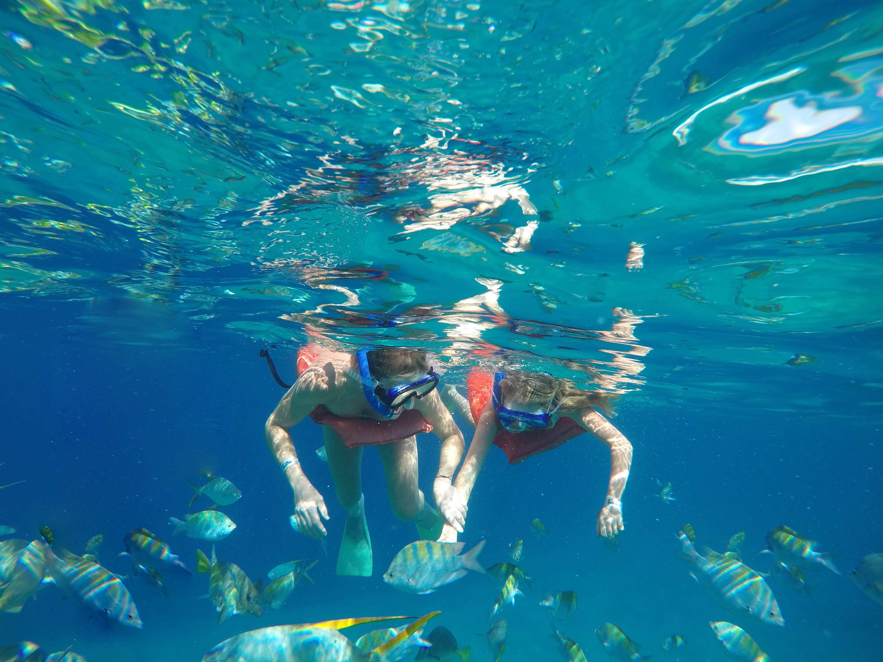 Things To Do Espiritu Santo Island Expedition